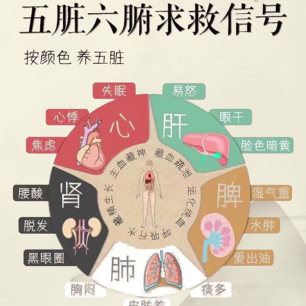 中医五藏能量分析
